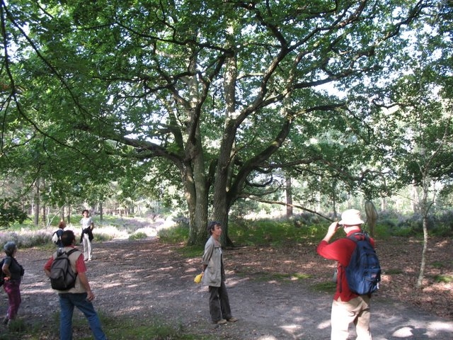 2007 08 Bois de Rochefort 17